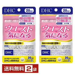 @\\Hi DHC EGXgCɂȂ 40i20j ×2܁yz fB[GC`V[y䂤pPbg/Ȃ/sLZz