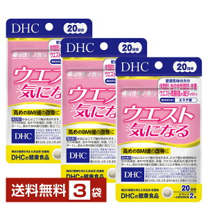 @\\Hi DHC EGXgCɂȂ 40i20j ×3܁yz fB[GC`V[y䂤pPbg/Ȃ/sLZz