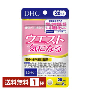 @\\Hi DHC EGXgCɂȂ 40i20j 1܁yz fB[GC`V[y䂤pPbg/Ȃ/sLZz