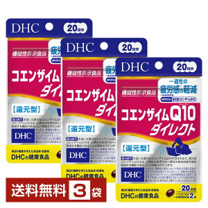 @\\Hi DHC RGUCQ10 _CNg 40i20j ×3܁yz fB[GC`V[y䂤pPbg/Ȃ/sLZz