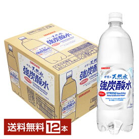 サンガリア 伊賀の天然水 強炭酸水 1L 1000ml ペットボトル 12本 1ケース 【送料無料（一部地域除く）】