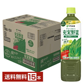 伊藤園 充実野菜 緑の野菜ミックス 740g ペットボトル 15本 1ケース【送料無料（一部地域除く）】 野菜ジュース