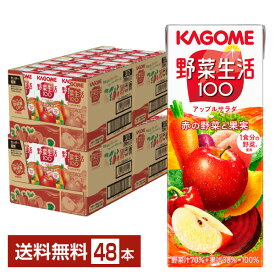 カゴメ 野菜生活 100 アップルサラダ 200ml 紙パック 24本×2ケース（48本）【送料無料（一部地域除く）】 野菜ジュース