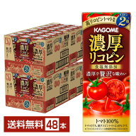 カゴメ 濃厚リコピン 195ml 紙パック 24本×2ケース（48本）【送料無料（一部地域除く）】 野菜ジュース
