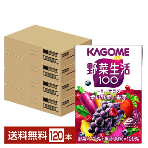 JS ؐ 100 x[T_ 100ml pbN 30{×4P[Xi120{jyiꕔn揜jz ؃W[X