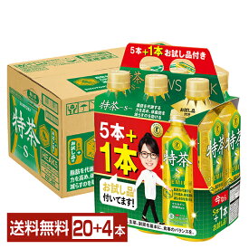 数量限定 特定保健用食品 サントリー 緑茶 伊右衛門 特茶 500ml ペットボトル 5本+お試し品1本付き 24本（20本+4本） 1ケース トクホ 【送料無料（一部地域除く）】 サントリーフーズ NEWSパック