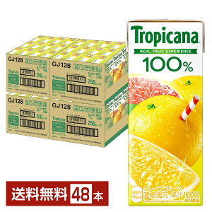 L gsJ[i 100 O[vt[c 250ml (LLX) 24{×2P[Xi48{jyiꕔn揜jz