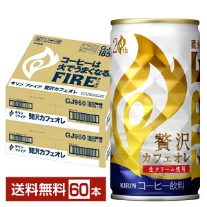 L t@CA ґJtFI 185g  30{×2P[Xi60{j yiꕔn揜jz L FIRE ʃR[q[