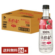 栄養機能食品 CJフーズジャパン 美酢プラス ざくろ 500ml 希釈タイプ 500ml ペットボトル 24本 1ケース【…