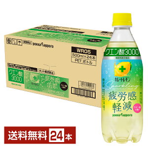 ʌ L[g Xp[NO NG_3000 |bJTb| @\\Hi 500ml ybg{g 24{ 1P[Xyiꕔn揜jz Sparkling