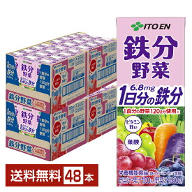 栄養機能食品 伊藤園 鉄分野菜 200ml 紙パック 24本×2ケース（48本）【送料無料（一部地域除く）】 1日分の鉄分
