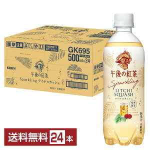 Ԍ L ߌ̍g Xp[NO C`XJbV 500ml ybg{g 24{ 1P[Xyiꕔn揜jz Y_ Sparkling