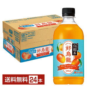 Tg[ G DG }S[}_eB[G[h 500ml ybg{g 24{ 1P[X yiꕔn揜jz nIE[ Tg[E[