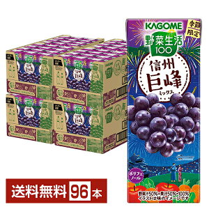 ʌ ؐ100 MB~bNX JS 195ml pbN 24{×4P[Xi96{jyiꕔn揜jz ؃W[X