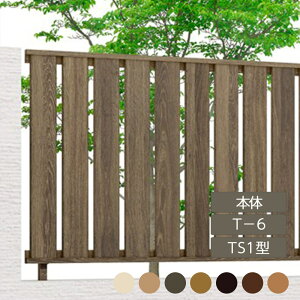 NV ډB tFX LIXILytFXAA TS1^ T-6 { t[|[^Cv 1 t[|[^Cvz