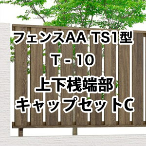 NV ډB tFX LIXILytFXAA TS1^ T-10 ㉺V[LbvZbgC 1Zbg t[|[^Cvz