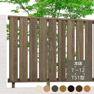 NV ډB tFX LIXILytFXAA TS1^ T-12 { t[|[^Cv 1 t[|[^Cvz