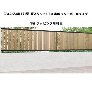 NV ډB tFX LIXILytFXAB TS1^ cXbg1 T-8 { t[|[^Cv bsO`ސF 1 t[|[^Cvz