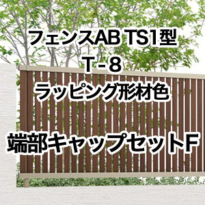 NV ډB tFX LIXILytFXAB TS1^ cXbg1 T-8 [LbvZbgF bsO`ސF 1Zbg t[|[^Cvz