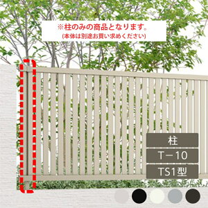 NV ډB tFX LIXILytFXAB TS1^ cXbg1 T-10  A~`ސF 1{ t[|[^Cvz