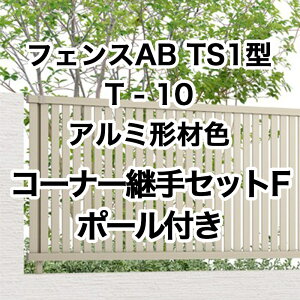 NV ډB tFX LIXILytFXAB TS1^ cXbg1 T-10 R[i[pZbgF |[t A~`ސF 1Zbg t[|[^Cvz