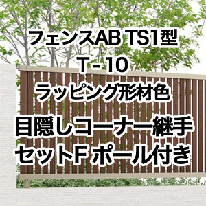 NV ډB tFX LIXILytFXAB TS1^ cXbg1 T-10R[i[pZbgF |[t bsO`ސF 1Zbg t[|[^Cvz