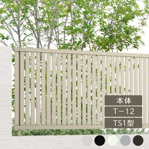 NV ډB tFX LIXILytFXAB TS1^ cXbg1 T-12 { t[|[^Cv A~`ސF 1 t[|[^Cvz