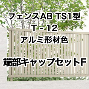 NV ډB tFX LIXILytFXAB TS1^ cXbg1 T-12 [LbvZbgF A~`ސF 1Zbg t[|[^Cvz