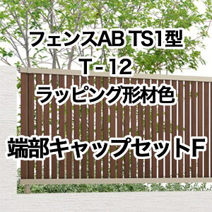 NV ډB tFX LIXILytFXAB TS1^ cXbg1 T-12 [LbvZbgF bsO`ސF 1Zbg t[|[^Cvz