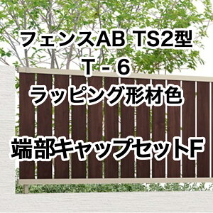 NV ډB tFX LIXILytFXAB TS2^ cXbg2 T-6 [LbvZbgF bsO`ސF 1Zbg t[|[^Cvz