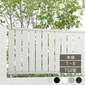 NV ډB tFX LIXILytFXAB TS2^ cXbg2 T-8 { t[|[^Cv A~`ސF 1 t[|[^Cvz