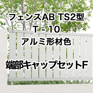 NV ډB tFX LIXILytFXAB TS2^ cXbg2 T-10 [LbvZbgF A~`ސF 1Zbg t[|[^Cvz