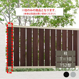 NV ډB tFX LIXILytFXAB TS2^ cXbg2 T-10  bsO`ސF 1{ t[|[^Cvz