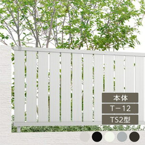 NV ډB tFX LIXILytFXAB TS2^ cXbg2 T-12 { t[|[^Cv A~`ސF 1 t[|[^Cvz