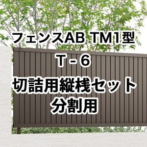 NV ډB tFX LIXILytFXAB TM1^ cډB T-6 ؋l[Jo[ p 1Zbg t[|[^Cvz