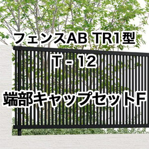 NV ډB tFX LIXILytFXAB TR1^ ciq1 T-12 [LbvZbgF 1Zbg t[|[^Cvz