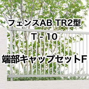 NV ډB tFX LIXILytFXAB TR2^ ciq2 T-10 [LbvZbgF 1Zbg t[|[^Cvz
