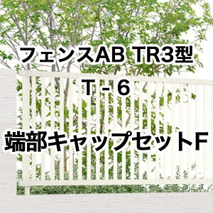 NV ډB tFX LIXILytFXAB TR3^ ciq3 T-6 [LbvZbgF 1Zbg t[|[^Cvz