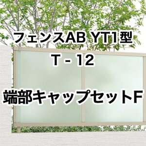 NV ډB tFX LIXILytFXAB YT1^ ̌pl T-12 [LbvZbgF 1Zbg t[|[^Cvz