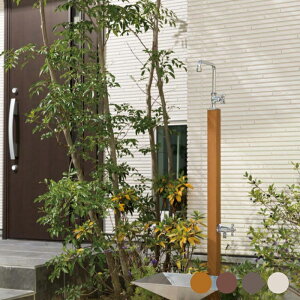  ֌ 킢  X^CbV  K[f j\yJ[TX^h2 2 Edl CASAz