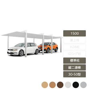 J[|[g 2p NV LIXILyJ[|[gSC 1500 c2A 30-50^ WH22 W3,021×L10,020z