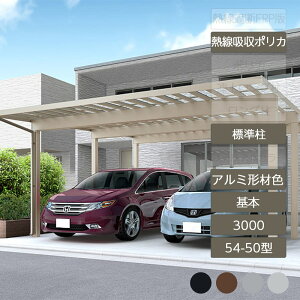 J[|[g 2p NV LIXILy\fB|[g3000 { 54-50^ WH23 A~`ސF Mz|J[{l[gz