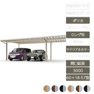 J[|[g 2p NV LIXILy\fB|[g3000 Ԍ 60{18-57^ OH25 bsO`ސF |J[{l[gz