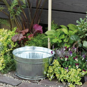  EH[^[|bg Vv 킢   K[f I[Nuyz[oPbg HALL BUCKETz