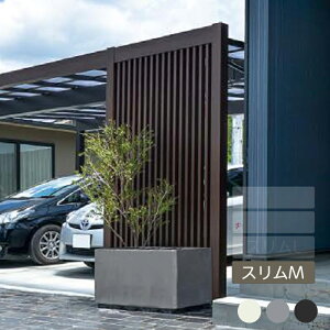 |bg  a Vv X^CbV  Â x_  K[fjO j\y_ X M pv^[z