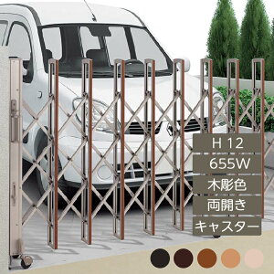 Lk AR[fBI ډB  DIY lj[nslXHG LX^[^Cv J H12 655W ؒJ[ NHGC-655W