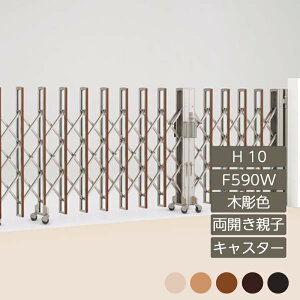 Lk AR[fBI ډB  DIY lj[nslXHG Jeq LX^[^Cv H10 F590W ؒJ[ NHGMC-F590W