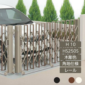 Lk AR[fBI ډB  DIY lj[nslXHG pndl [^Cv H10 HS250S ؒJ[ NHGM-HS250S