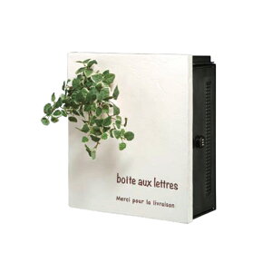 yN[G |bgz _C EE Ǌ||Xg I[Nu onlyoneclub