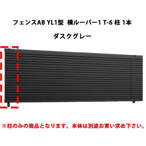 tFX NV LIXIL  Vv  ډB DIYYL1^ [o[1 T-6  1{ _XNO[ 󒍐Yi